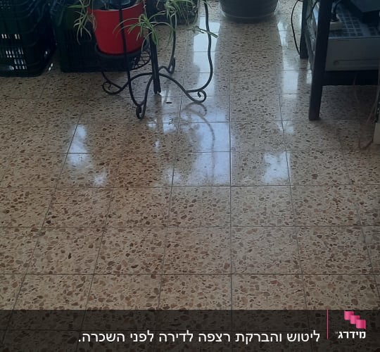רצפה נקייה ומבריקה עם צמחים מסביב